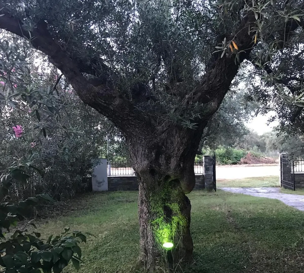 Villa Nikolas Agios Nikolaos   Agios Nikolaos (Chalkidiki)